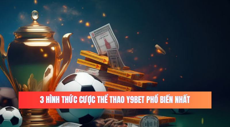 3 hình thức cược thể thao Y9BET phổ biến nhất